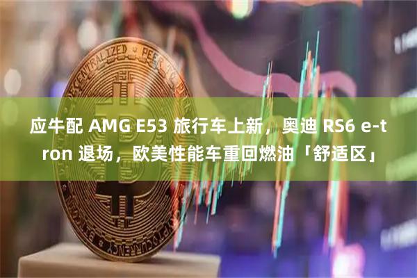 应牛配 AMG E53 旅行车上新，奥迪 RS6 e-tron 退场，欧美性能车重回燃油「舒适区」