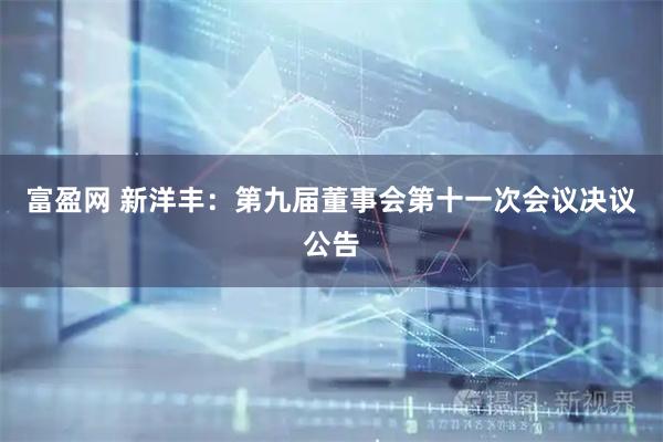 富盈网 新洋丰：第九届董事会第十一次会议决议公告