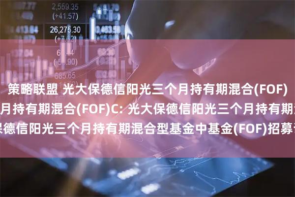 策略联盟 光大保德信阳光三个月持有期混合(FOF)A,光大保德信阳光三个月持有期混合(FOF)C: 光大保德信阳光三个月持有期混合型基金中基金(FOF)招募说明书