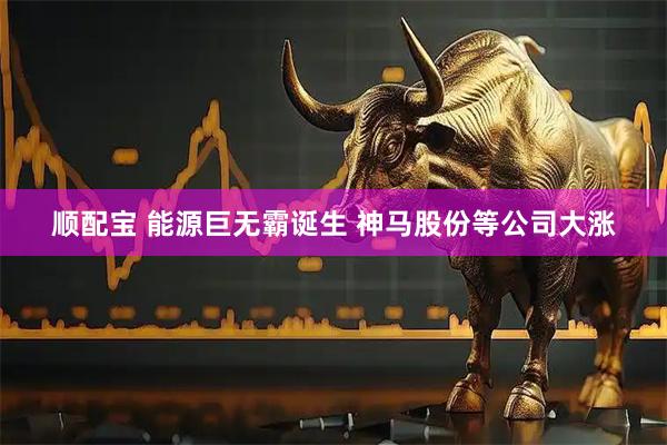 顺配宝 能源巨无霸诞生 神马股份等公司大涨