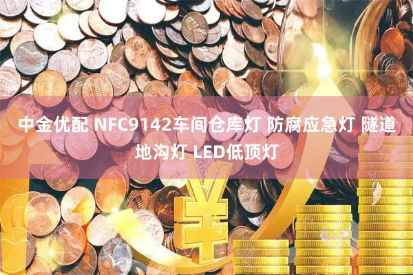 中金优配 NFC9142车间仓库灯 防腐应急灯 隧道地沟灯 LED低顶灯