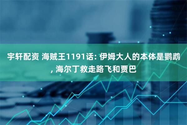 宇轩配资 海贼王1191话: 伊姆大人的本体是鹦鹉, 海尔丁救走路飞和贾巴